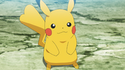 Pikachu(sauvage ► de Goh)