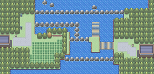 Route 218.png