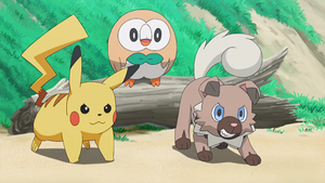 SL022 - Pikachu, Brindibou et Rocabot de Sacha.png