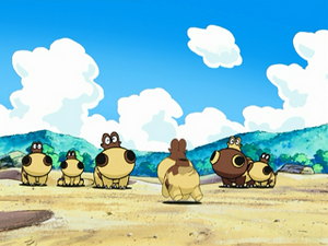 DP044 - Hippopotas.png