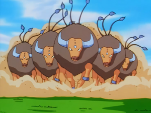 Episode 35 - Tauros.png