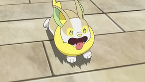 LV005 - Voltoutou de Chloé.png