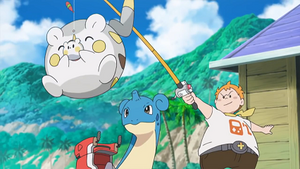 SL005 - Togedemaru de Chrys.png