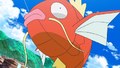 Magicarpe (sauvage)