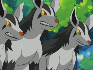 AG011 - Grahyèna de Katrina.png