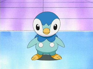 DP001 - Tiplouf d'Aurore.png