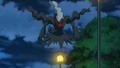 Darkrai (sauvage)