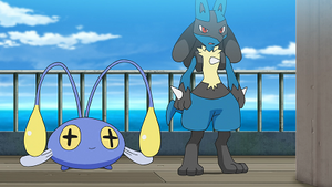 LV088 - Loupio de Goh et Lucario de Sacha.png
