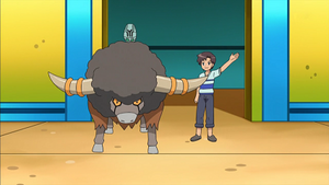 NB053 - Frison et Lewsor d'un Dresseur.png