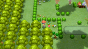 Route 212 CT11 DEPS.png