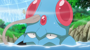 Tentacool de Goh.png