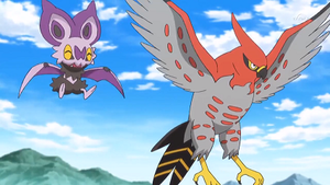XY104 - Sonistrelle et Flambusard de Sacha.png