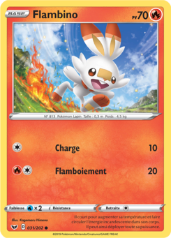 Flambino (Épée et Bouclier 031)