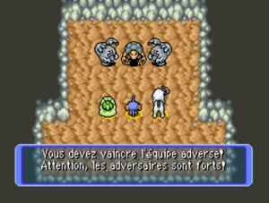Dédale Équipe Grolem PDMRB.png