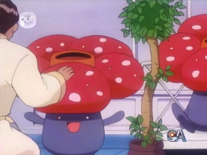 EP239 - Pensée - Rafflesia.png