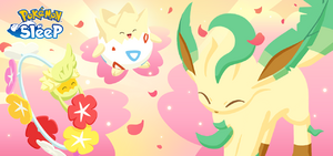 Fête des fleurs Sleep.png