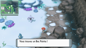 Grotte du Blizzard Bec Pointu DEPS.png