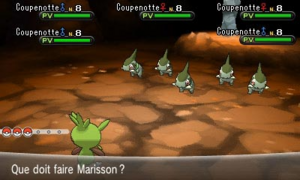 Hordes de Pokémon-2.png