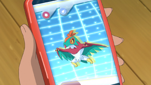 LV034 - Brutalibré Pokédex.png