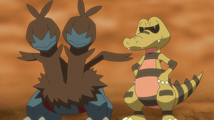 LV080 - Diamat d'un Chasseur de Pokémon.png