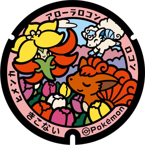Fichier:Poké Lid 305 Kikonai.png