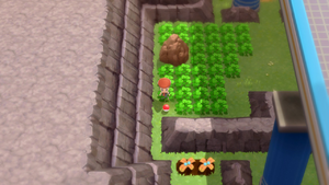 Route 206 Pic Venin DEPS.png