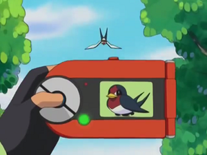AG004 - Nirondelle Pokédex.png