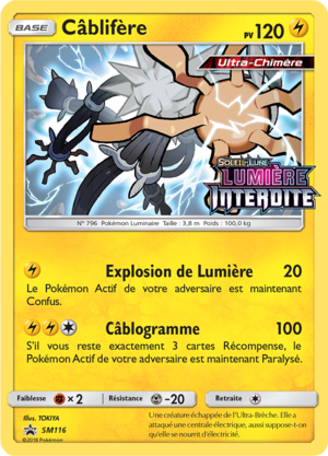 Carte Promo SM SM116.png