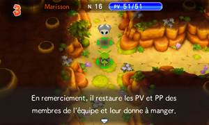 Orbe des Liens (9) PMDM.png