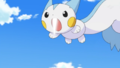 Pachirisu