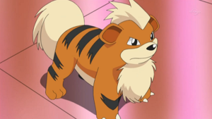 DP153 - Caninou.png