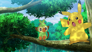 LV122 - Ouistempo de Goh et Pikachu de Sacha.png