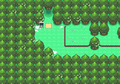 La Rive du Lac Vérité dans Pokémon Diamant et Perle.