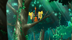 SL010 - Tokorico.png