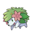 Shaymin (20 ans)