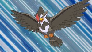 DP173 - Étouraptor de Sacha.png