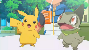 NB141 - Pikachu de Sacha et Coupenotte d'Iris.png