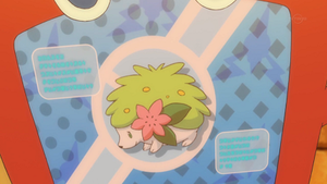 SL108 - Shaymin Pokédex.png