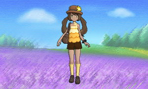 Vidéo Dresseur Décor Luminosité Un peu lumineux.png
