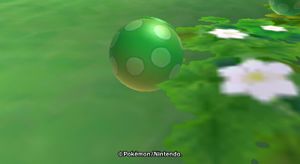 Baie Verte Poképark 2.JPG