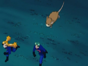 Chronicles 15 - Rattatac de Cassidy.png