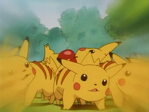 EP039 - Pikachu (Flash-back).png