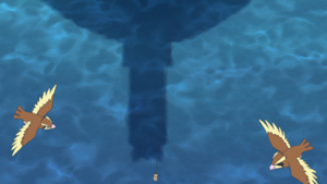 LH005 - Roucool.png