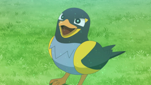 LH023 - Zapétrel de Rhod.png
