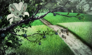 Pashmilla sauvage Zéblitz et Ponchien de Dresseurs Film 14 flashback.png