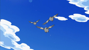 NB058 - Poichigeon.png
