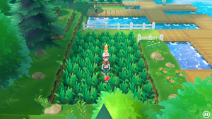 Route 12 Parfum Max LGPE.png