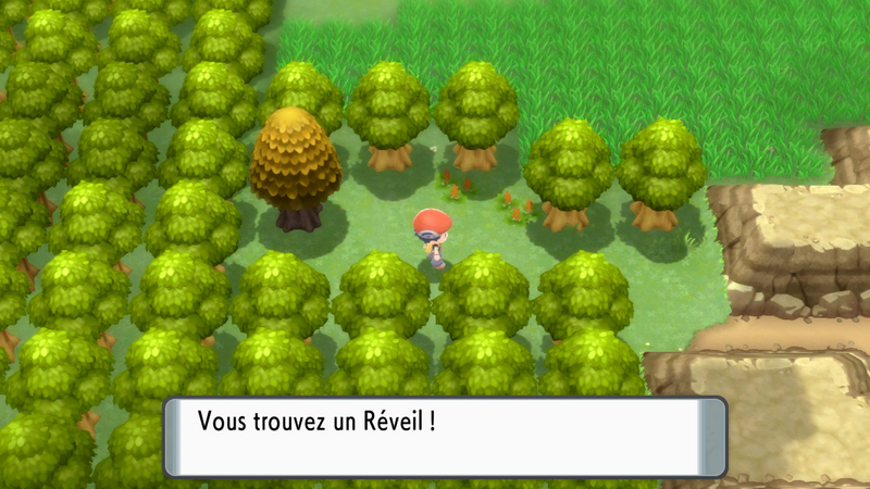 Fichier:Route 213 Réveil DEPS.png