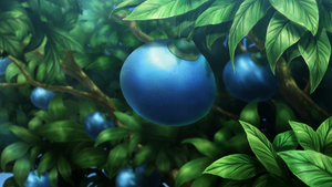 XY097 - Baie Oran.png