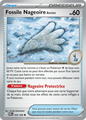 Carte Méga-Évolution Équilibre Parfait 069.png